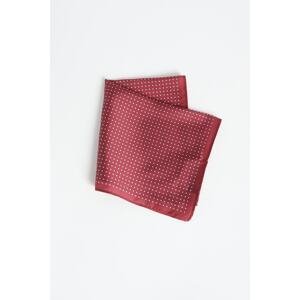 ALTINYILDIZ CLASSICS Men's Burgundy Patterned Handkerchief