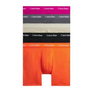 5PACK Calvin Klein Men's Boxer Shorts Multicolored