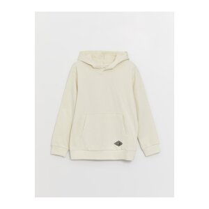 LC Waikiki Boy's Basic Long Sleeve Hoodie