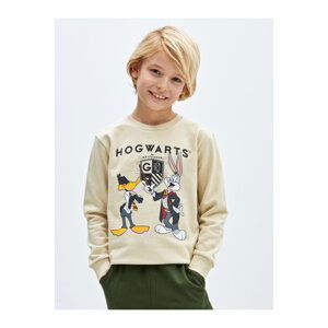 LC Waikiki Boys' Crew Neck Harry Potter Printed Long Sleeve Sweatshirt