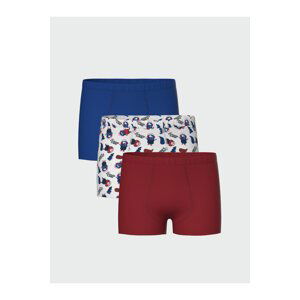 LC Waikiki Printed Boy's Boxer Set of 3