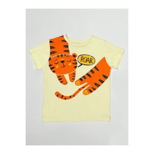 Denokids Roar Tiger Boy T-shirt