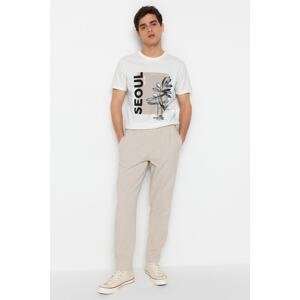 Trendyol Stone Regular Fit Gabardine Trousers