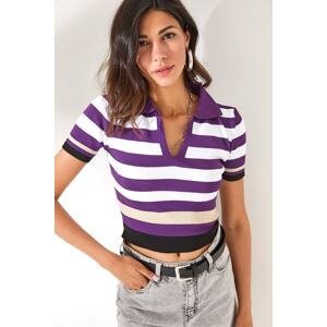 Olalook Women's Purple Beige Polo Neck Striped Crop Knitwear Blouse