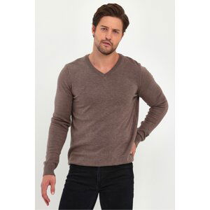 Lafaba Men's Brown V-Neck Basic Knitwear Sweater