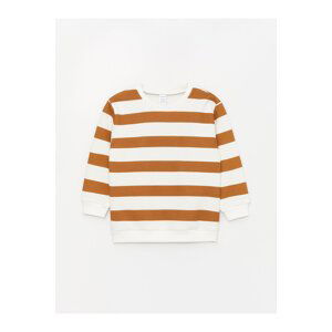 LC Waikiki Crew Neck Long Sleeve Striped Baby Boy Sweatshirt