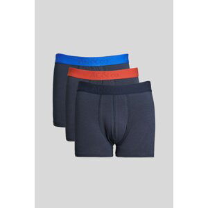 AC&Co / Altınyıldız Classics Men's Navy 3-Pack Flexible Cotton Boxer