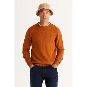 AC&Co / Altınyıldız Classics Men's Tile Standard Fit Regular Fit Crew Neck Jacquard Knitwear Sweater