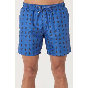 AC&Co / Altınyıldız Classics Men's Indigo Standard Fit Casual Patterned Swimwear Marine Shorts.