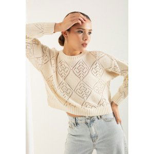 Lafaba Women's Beige Crew Neck Openwork/Perforated Knitwear Sweater