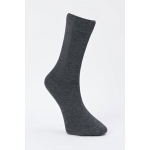 ALTINYILDIZ CLASSICS Men's Gray Single Socks with Bamboo.