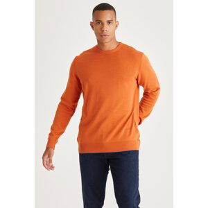 ALTINYILDIZ CLASSICS Men's Tile Standard Fit Regular Fit Crew Neck Cotton Knitwear Sweater