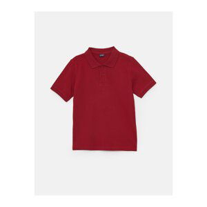 LC Waikiki The Coolest Polo Neck T-Shirt in School