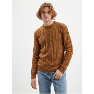 Brown Men's Sweater with Tom Tailor Wool - Men