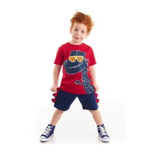 Denokids Cool Dino Boy's T-shirt Shorts Set