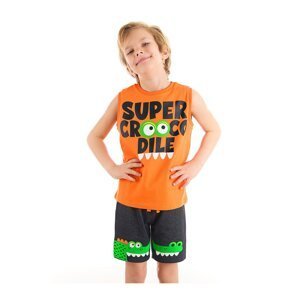 Denokids Crocodile Boy T-shirt Short Set
