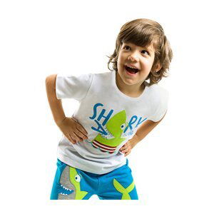 Denokids Shark Island Boys T-shirt Shorts Set