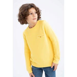 DEFACTO Boy Regular Fit Crew Neck Pullover