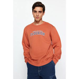 Trendyol Tile Men Men's Regular/Normal Cut Text Printed Fleece Inside Sweatshirt.