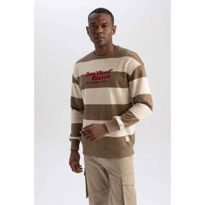 DEFACTO Boxy Fit Long Sleeve Sweatshirt