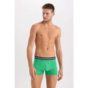 DEFACTO Regular Fit Knitted Boxer
