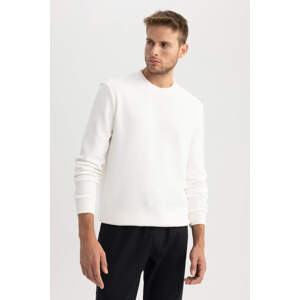 DEFACTO Regular Fit Sweatshirt