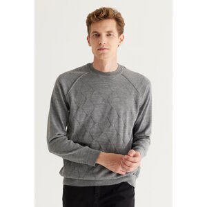 ALTINYILDIZ CLASSICS Men's Gray Standard Fit Normal Cut Crew Neck Jacquard Knitwear Sweater.