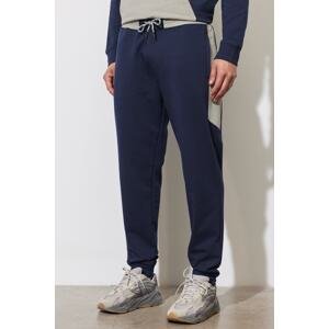 ALTINYILDIZ CLASSICS Men's Navy Blue Standard Fit Regular Cut Sweatpants.