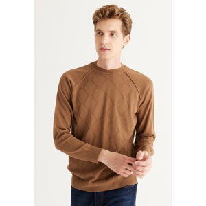 ALTINYILDIZ CLASSICS Men's Mink Standard Fit Normal Cut Crew Neck Jacquard Knitwear Sweater.