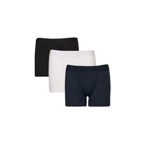 AC&Co / Altınyıldız Classics Men's White-Navy Blue 3-pack of Flexible Cotton Boxers.