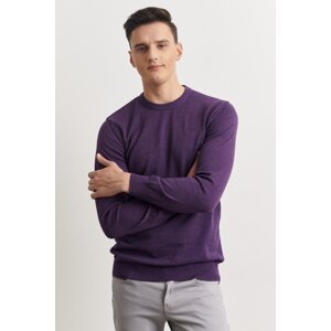 ALTINYILDIZ CLASSICS Men's Purple Standard Fit Regular Fit Crew Neck Cotton Knitwear Sweater
