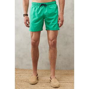 AC&Co / Altınyıldız Classics Men's Green Standard Fit Quick Dry Swimsuit Swim Shorts