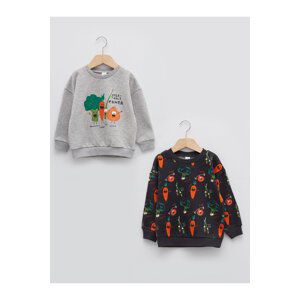 LC Waikiki Crew Neck Long Sleeve Printed Baby Boy Sweatshirt 2 Pack