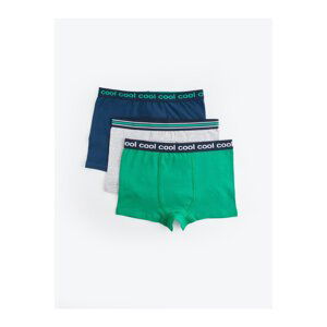 LC Waikiki Basic Cotton Boy's Boxer Set of 3