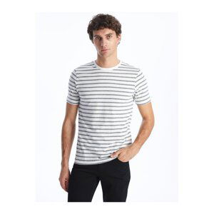 LC Waikiki Crew Neck Short Sleeve Striped Men's T-Shirt