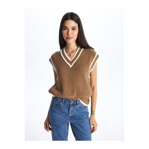 LC Waikiki Women's V-Neck Plain Knitwear Sweater