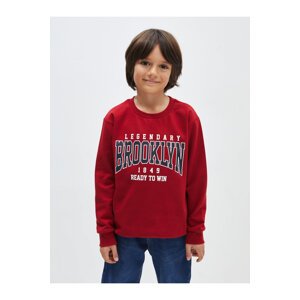 LC Waikiki Boys' Crew Neck Printed Long Sleeve Sweatshirt