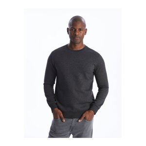 LC Waikiki Crew Neck Long Sleeve Men's Sweatshirt