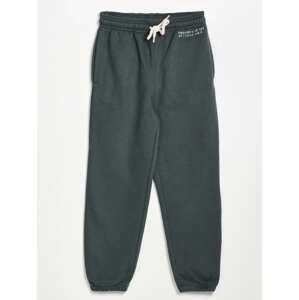 GAP Kids sweatpants cool - Boys