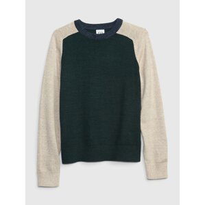 GAP Kids Sweater Raglan Sleeves - Boys