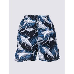 Yoclub Kids's Boy's Beach Shorts LKS-0046C-A100