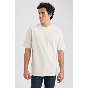 DEFACTO Oversize Fit Crew Neck Basic Short Sleeve T-Shirt