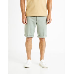 Celio Canvas Shorts Doevanbm - Men