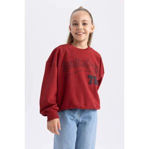 DEFACTO Oversize Fit Sweatshirt