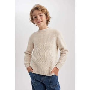 DEFACTO Boy Regular Fit Crew Neck Pullover