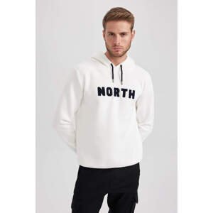 DEFACTO Regular Fit Long Sleeve Sweatshirt