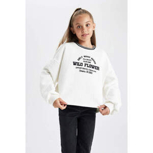 DEFACTO Oversize Fit Sweatshirt