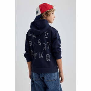 DEFACTO Hooded Sweatshirt