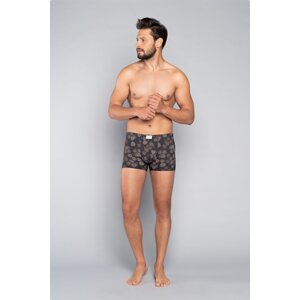 Men's boxers Pinus - print