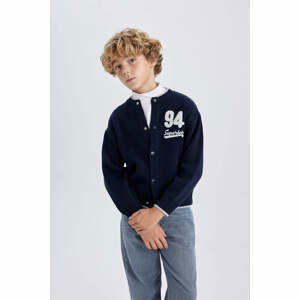 DEFACTO Regular Fit Bomber Collar Cardigan